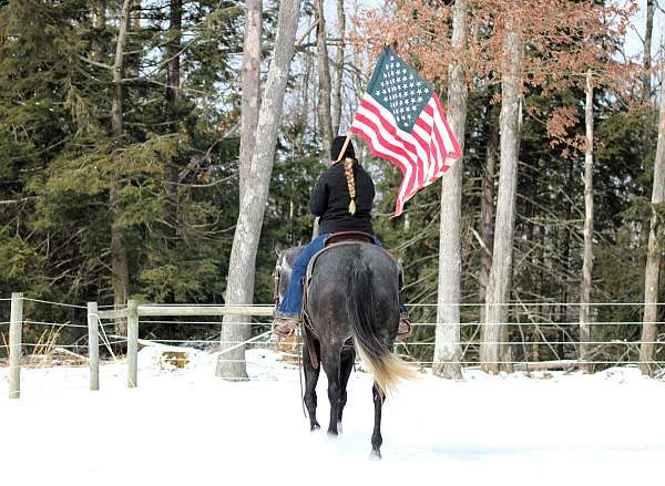 ranch-work-quarter-horse