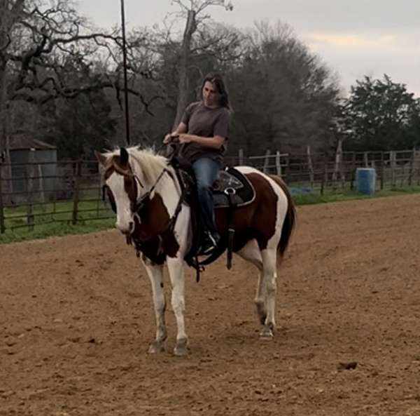 great-family-horse-mare