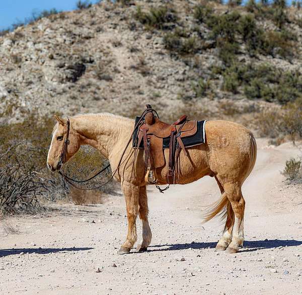 palomino-blaze-horse