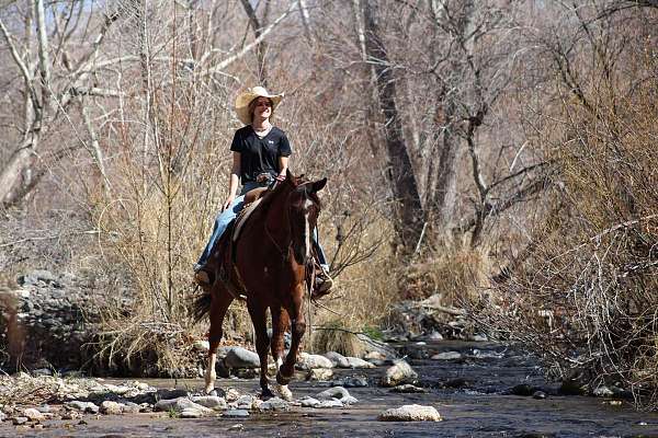 ranch-versatility-quarter-horse