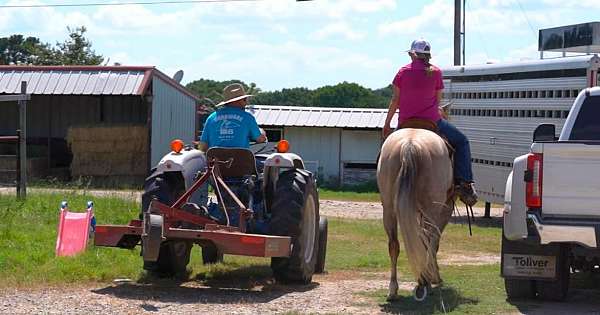 ranch-work-quarter-horse