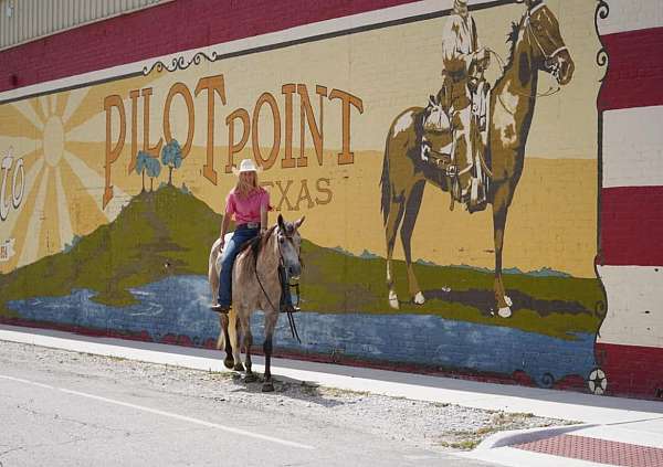 trail-quarter-horse