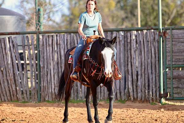 trail-quarter-horse