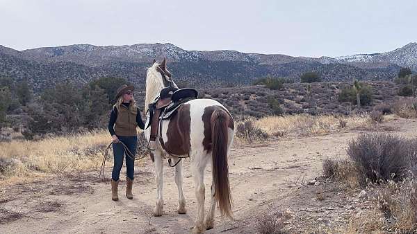 family-horse-tennessee-walking