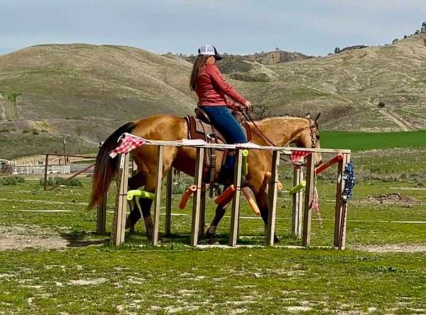 family-horse-quarter