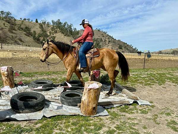 flashy-quarter-horse