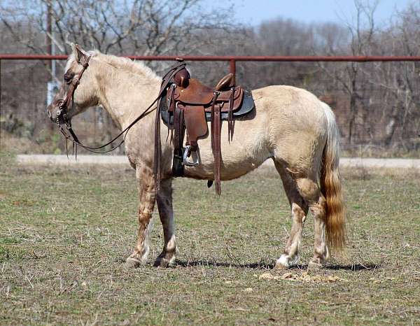 flax-mane-tail-pony