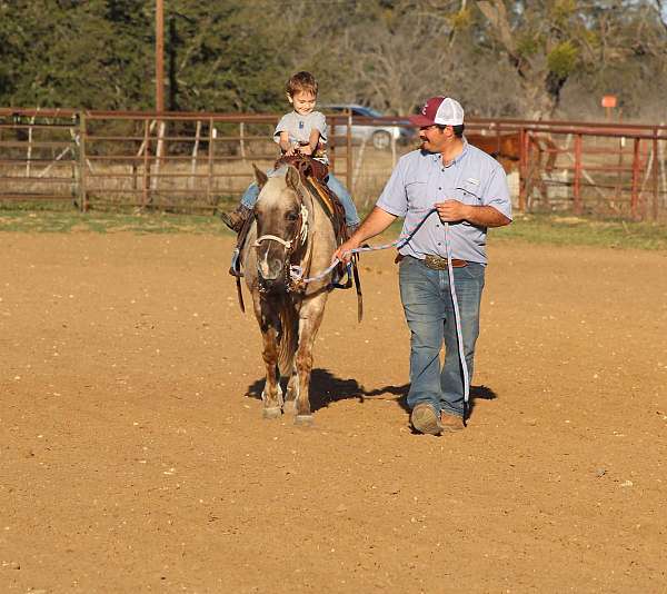 beginner-safe-pony