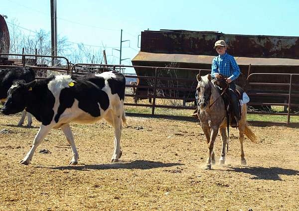 ranch-work-pony