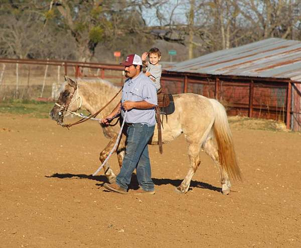 trail-pony