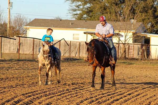 athletic-pony