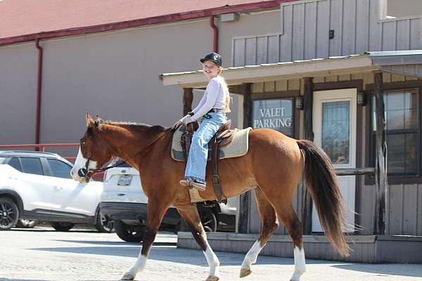 family-horse-quarter