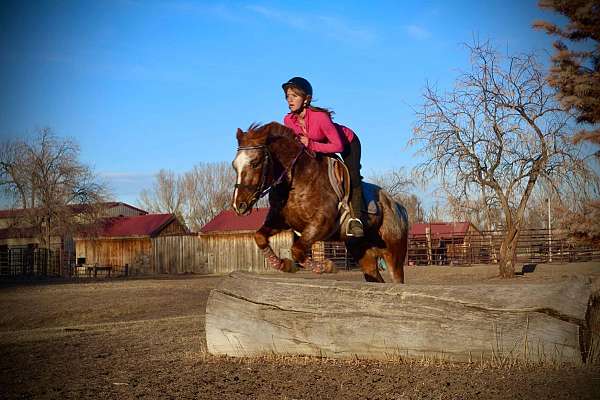 ranch-work-quarter-horse