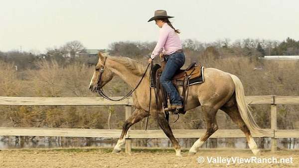 chocolate-palomino-roan-horse