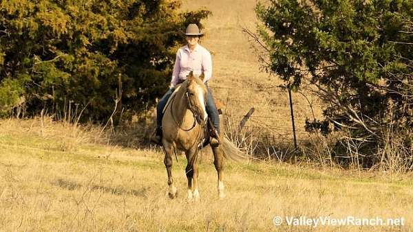 ranch-quarter-horse