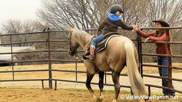 roping-quarter-horse