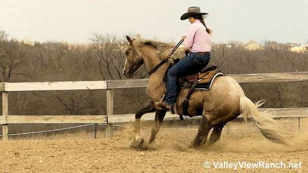 trail-riding-quarter-horse