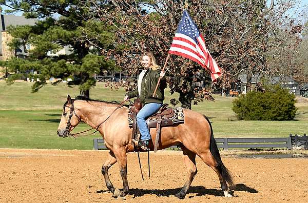 ranch-horse-quarter