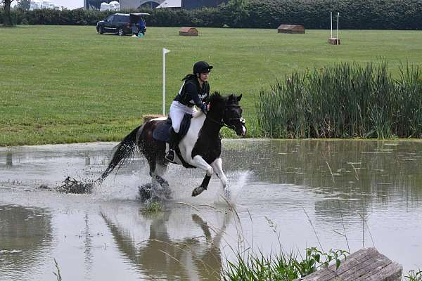 eventing-paint-pony