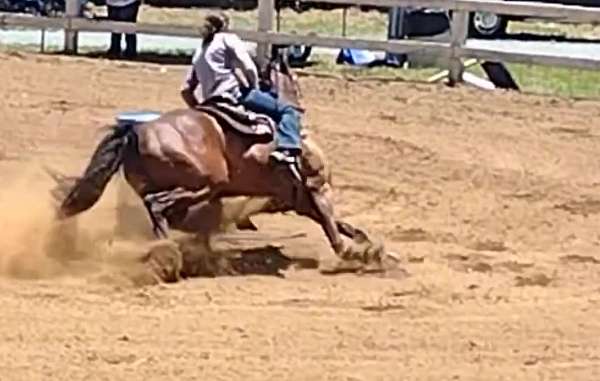 barrel-racing-quarter-horse