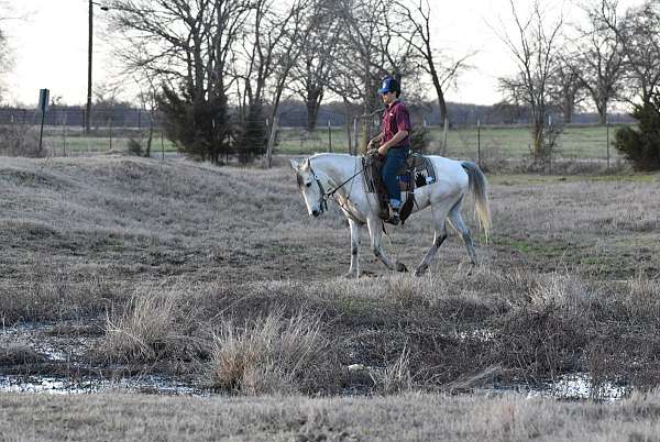 athletic-quarter-horse