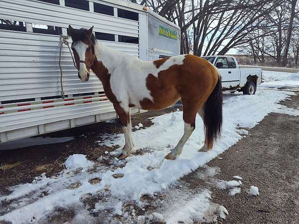 dunbtobiano