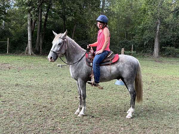 all-around-mustang-horse