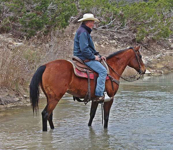 horsemanship-quarter-horse