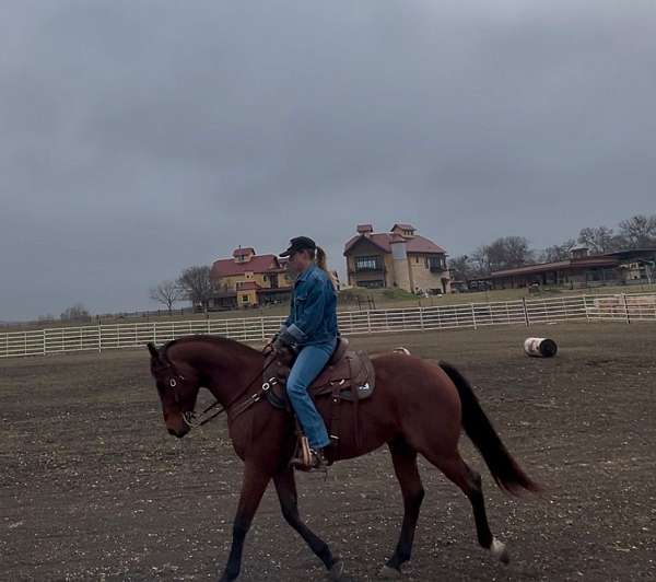 barrel-racing-quarter-horse