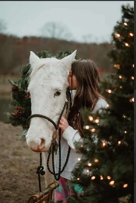 unicorn-appaloosa-pony