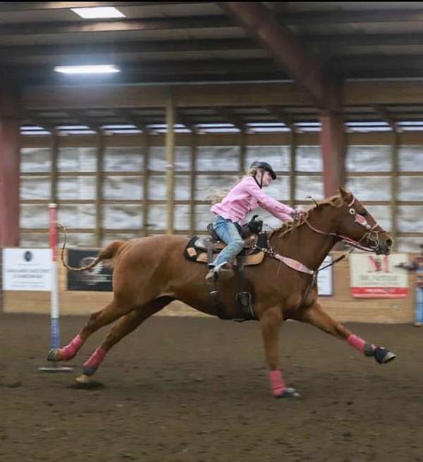 barrel-racing-quarter-horse