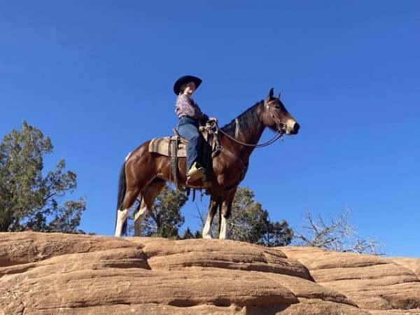 rough-country-paint-horse