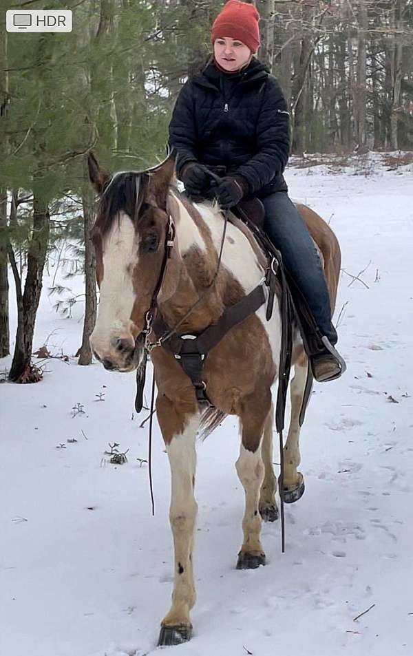 tobiano-dun-horse