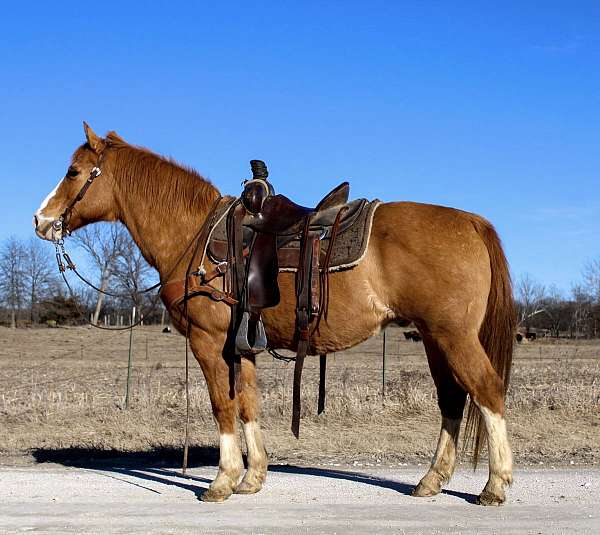 confidence-booster-pony