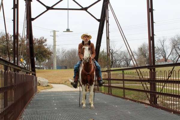 trail-paint-horse