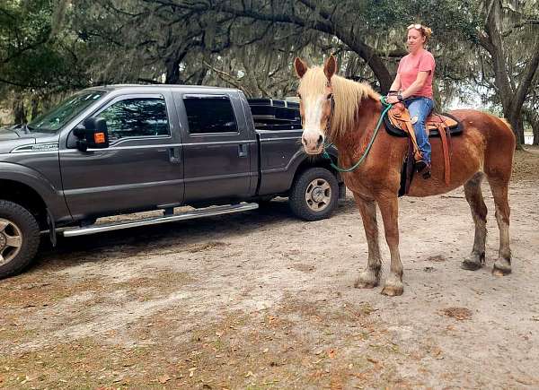 trail-riding-mare