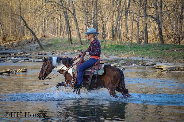 beginner-pony