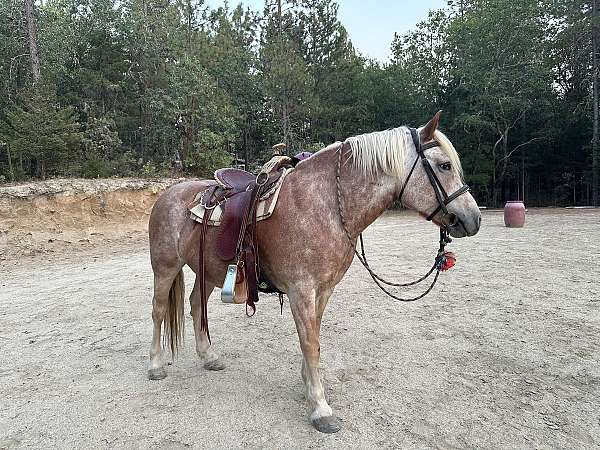 palomino-stripe-horse