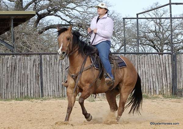 ranch-work-quarter-horse