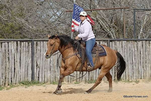 kid-safe-quarter-horse