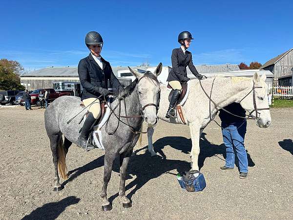 hunt-seat-equitation-quarter-pony