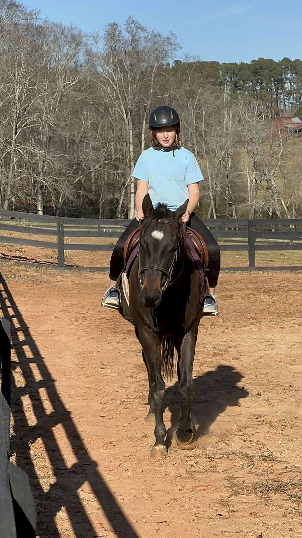 heart-shaped-star-horse