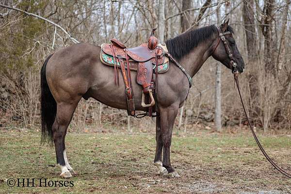 ranch-work-quarter-horse