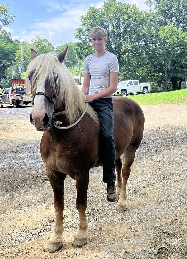 flax-draft-horse