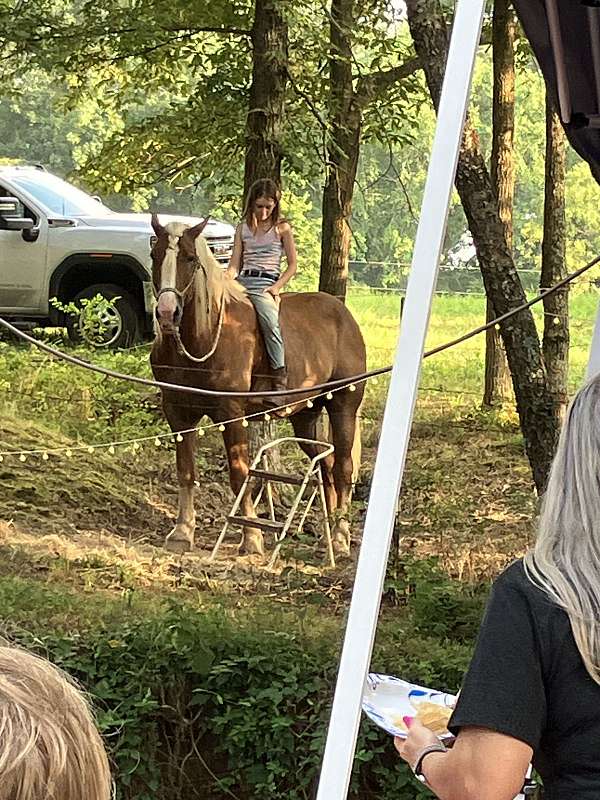 flax-mane-tail-horse