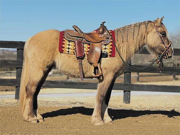 grulla-silver-horse