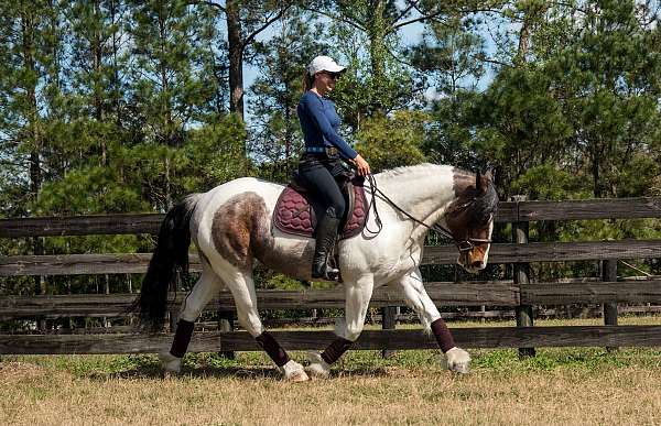 easy-draft-horse