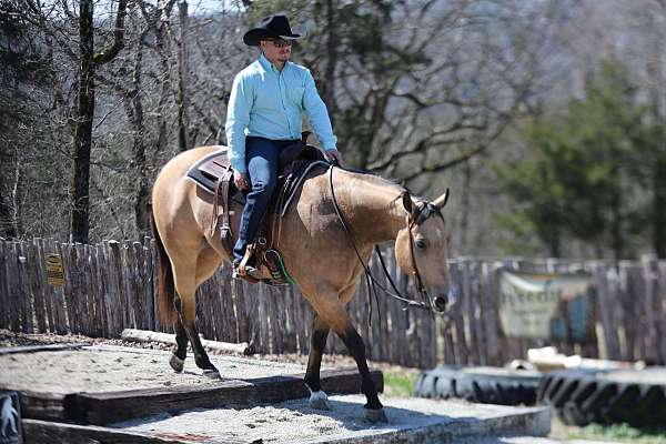 cowboy-mounted-shooting-quarter-horse