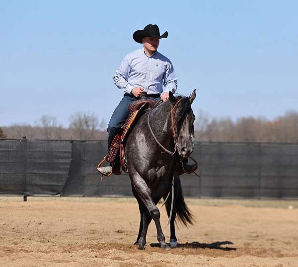 cowboy-mounted-shooting-quarter-horse