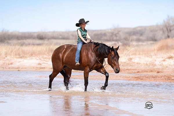 calf-roping-quarter-horse